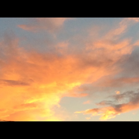 Meet your Posher, Sharon - Picture 3 of 6